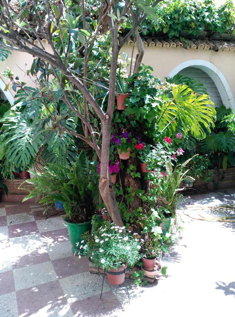 Castillo Lanjaron Exterior photo